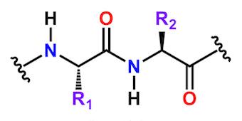 Peptides